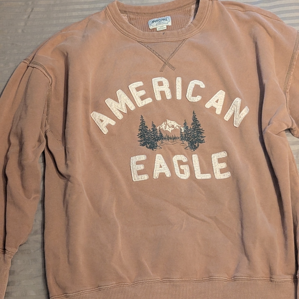 American Eagle Outfitters Women's Brown Crew Neck Sweatshirt